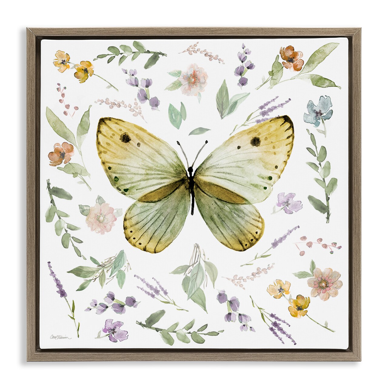 Stupell Industries Chic Cottage Butterfly Framed Floater Canvas Wall Art Design by Carol Robinson